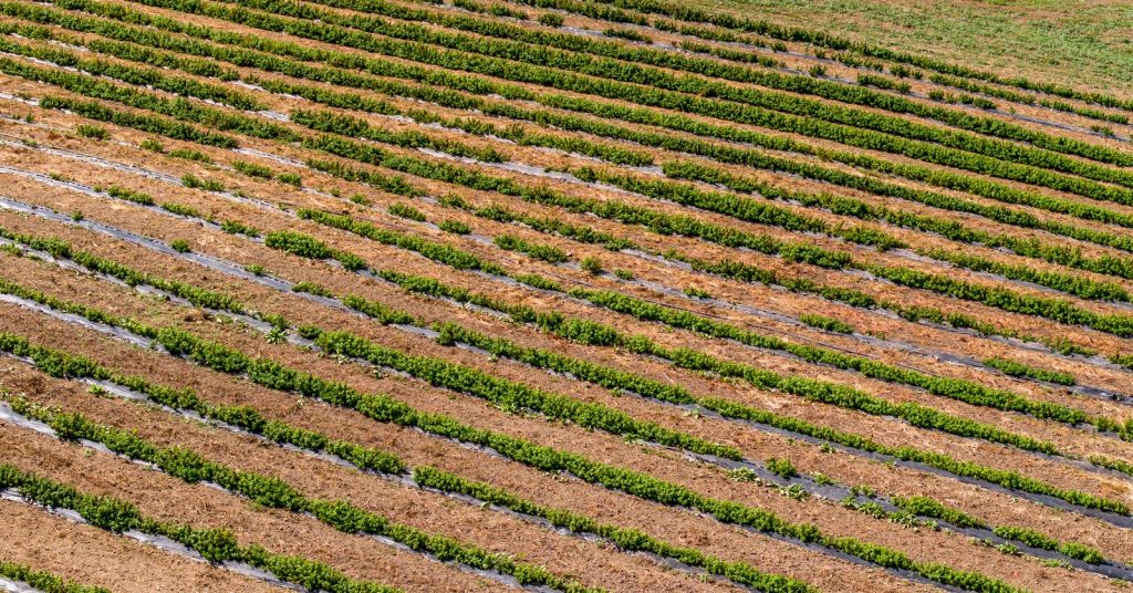 Slide 1 (Main shop slider)