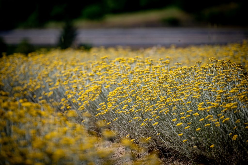 Slide 2 (Main shop slider)